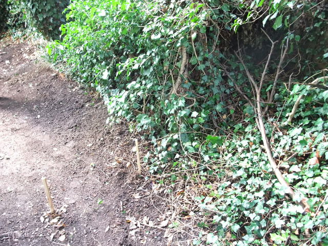dscf7190.jpg